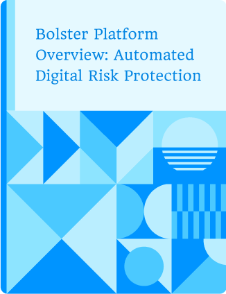 Bolster Platform Overview: Automated Digital Risk Protection